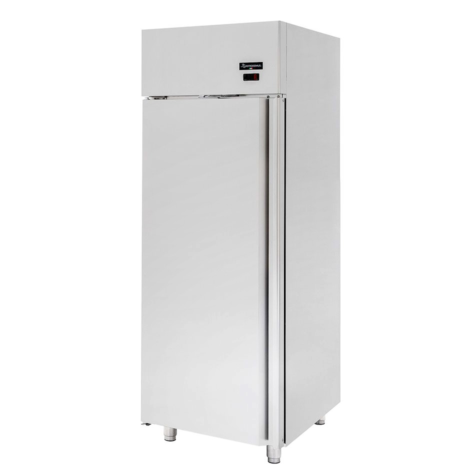 Kühlschrank mit Umluftkühlung Temperatur -2-C-+10-C 700 L Energieklasse G